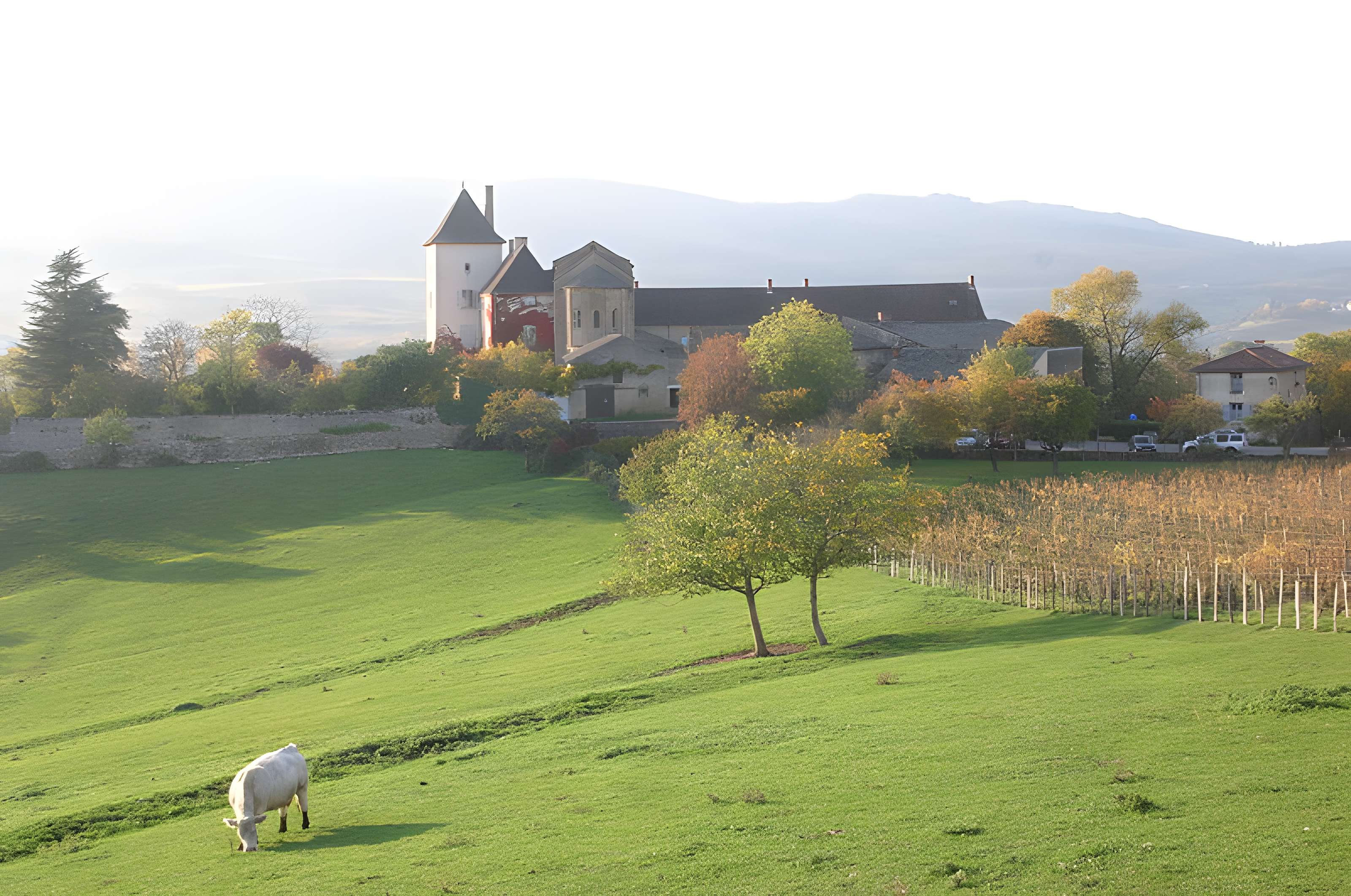 Chapelle des moines de Berzé-la-Ville
