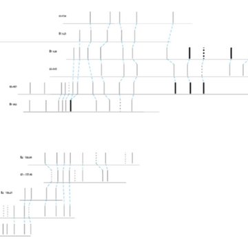Ensemble archéologique dit de la Grotte Mandrin