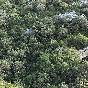 Ensemble archéologique dit de la Grotte Mandrin