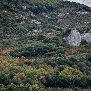 Ensemble archéologique dit de la Grotte Mandrin