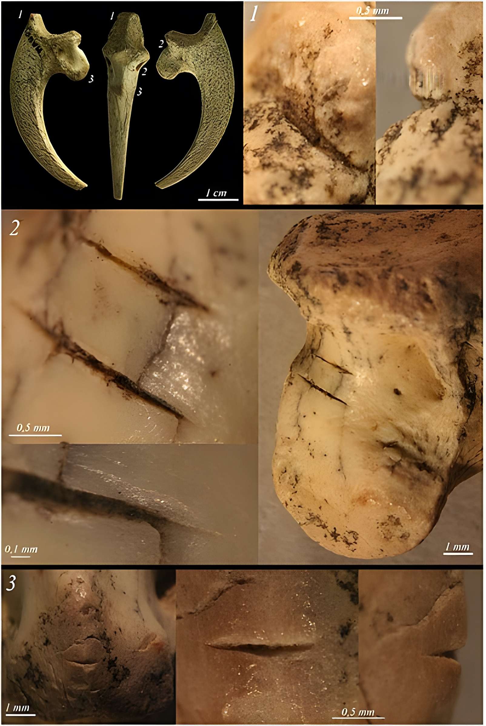 Ensemble archéologique dit de la Grotte Mandrin
