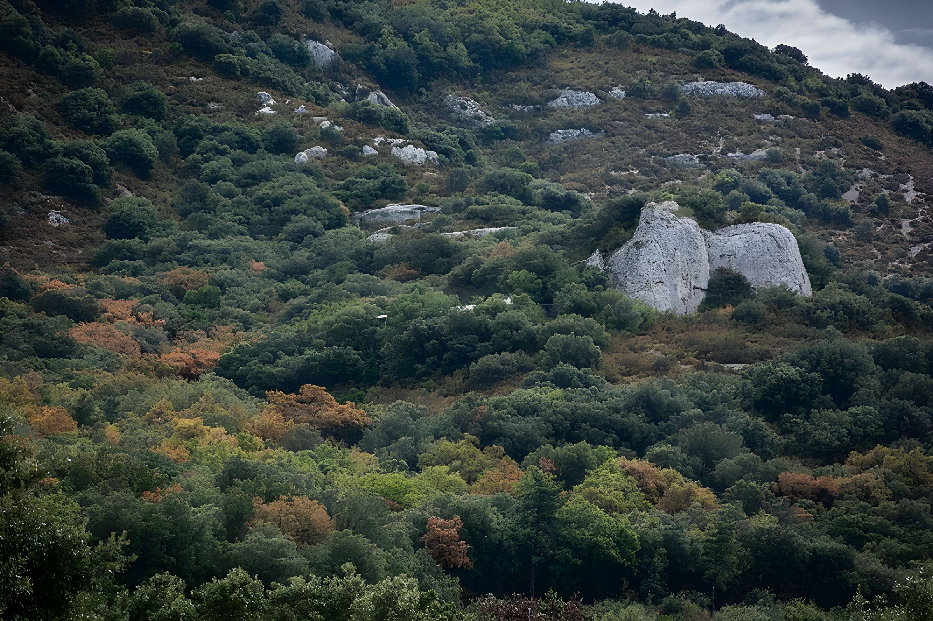Ensemble archéologique dit de la Grotte Mandrin
