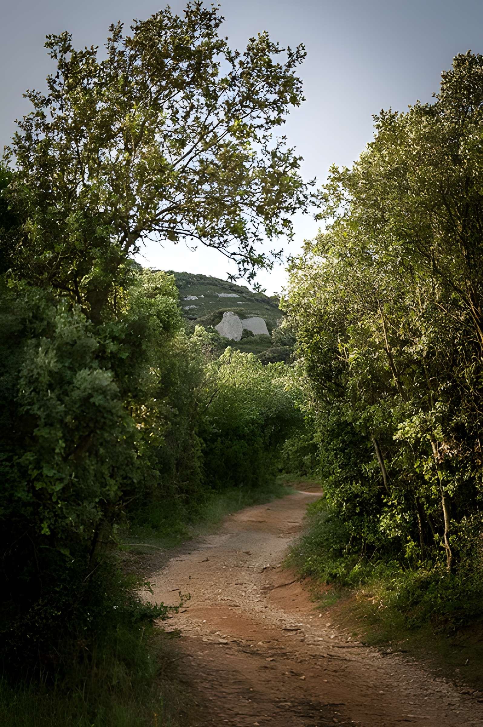 Ensemble archéologique dit de la Grotte Mandrin