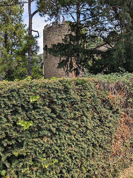 Photo de Domaine de Murat-Fontlozier