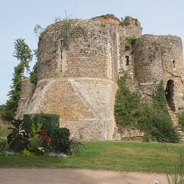 Ruines du donjon
