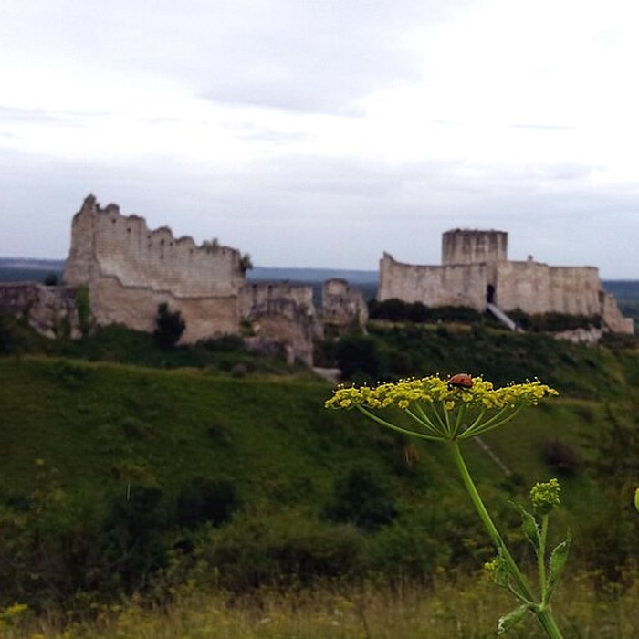 Photo de Château-Gaillard