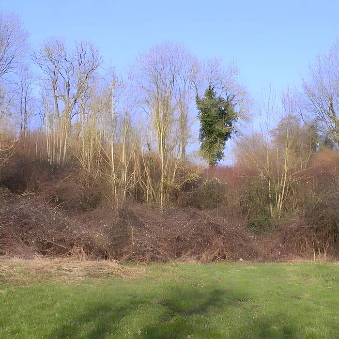 Photo de Teatro antico