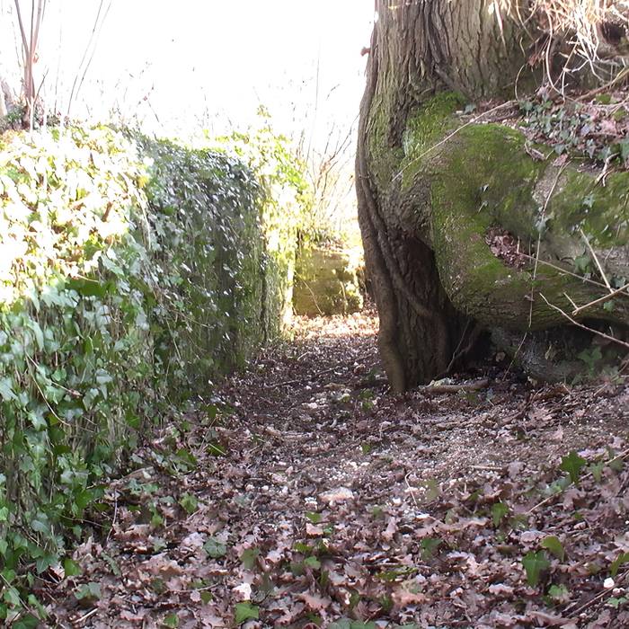 Photo de Teatro antico