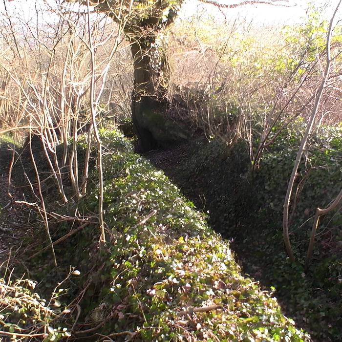 Photo de Teatro antico