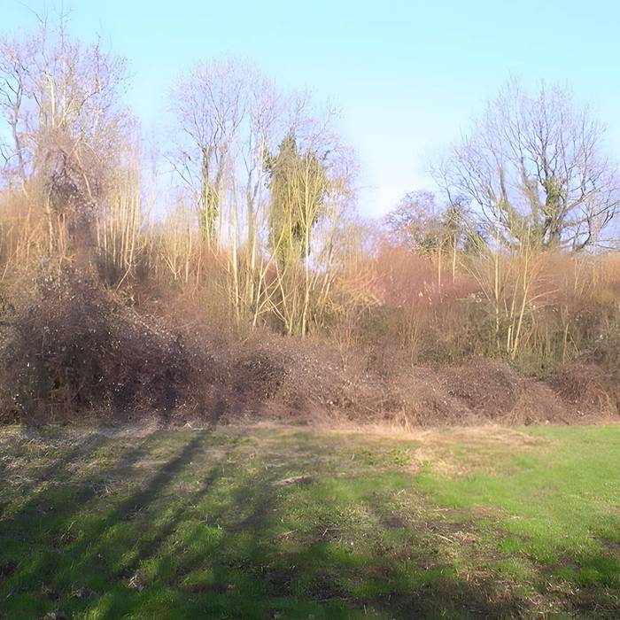 Photo de Teatro antico