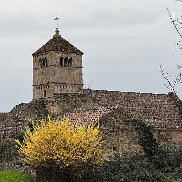 Photo de Église Notre-Dame-de-lAssomption dAmeugny