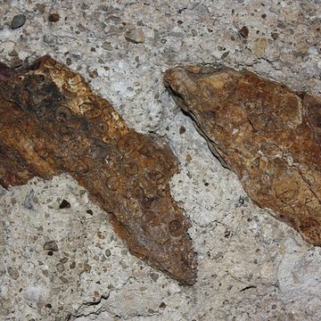 Eglise Saint-Christophe