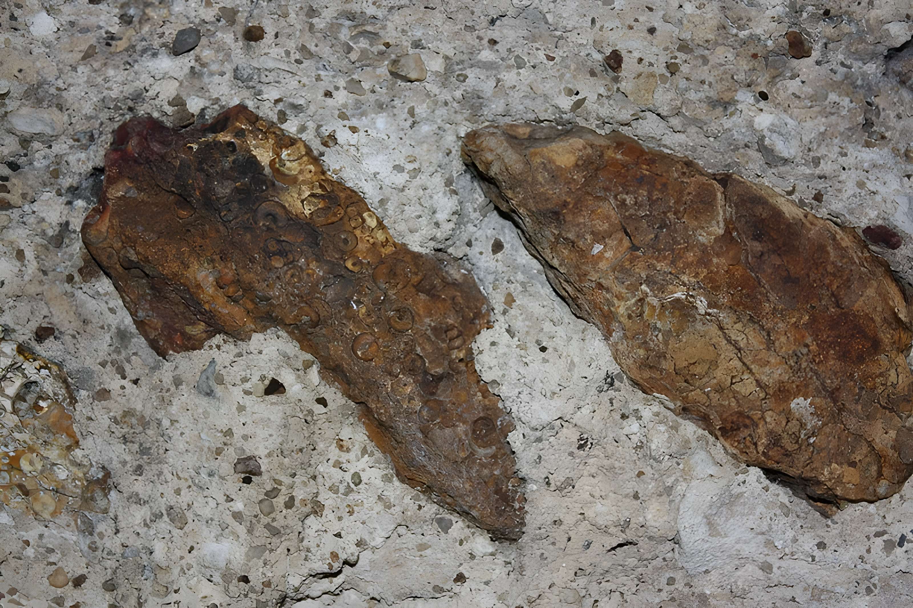 Eglise Saint-Christophe