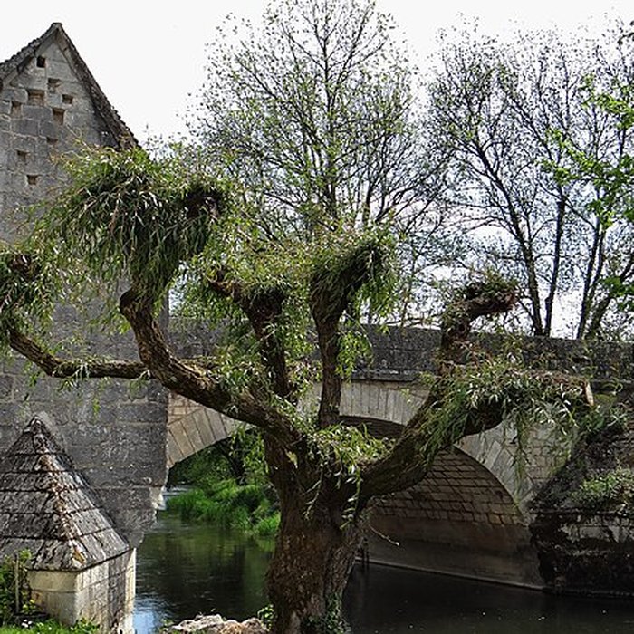 Photo de Chapelle du Bourg-dEn-Bas à Mailly-le-Château