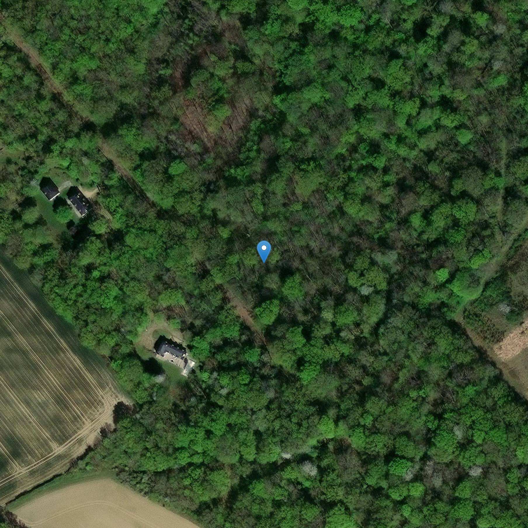 Photo de Menhir sagt vom Bischof der Stadt