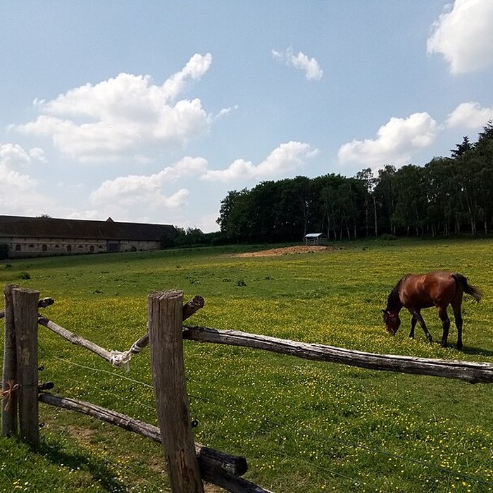 Photo de Bâtiments et sols de lancienne ferme seigneuriale