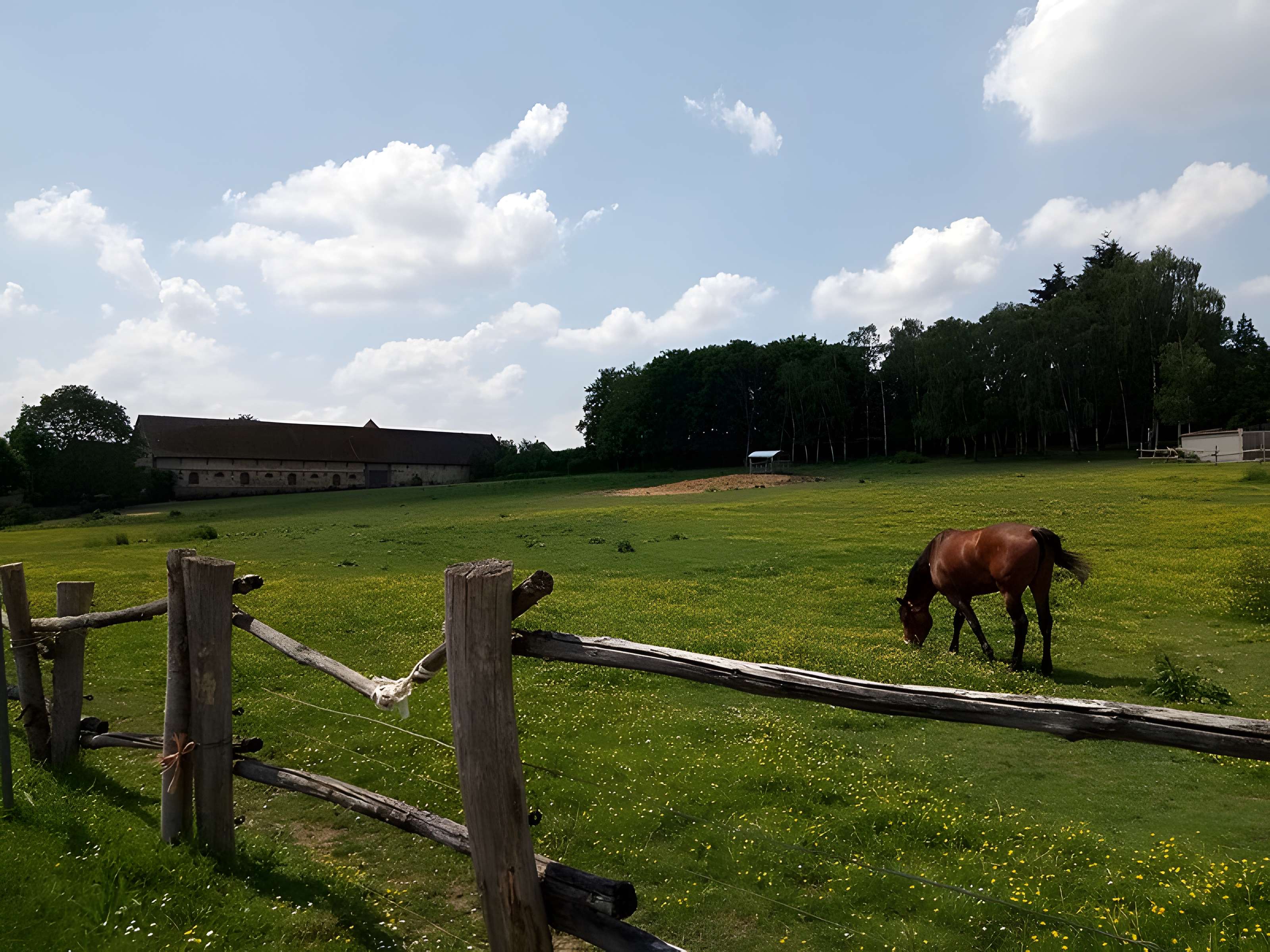 Bâtiments et sols de l'ancienne ferme seigneuriale