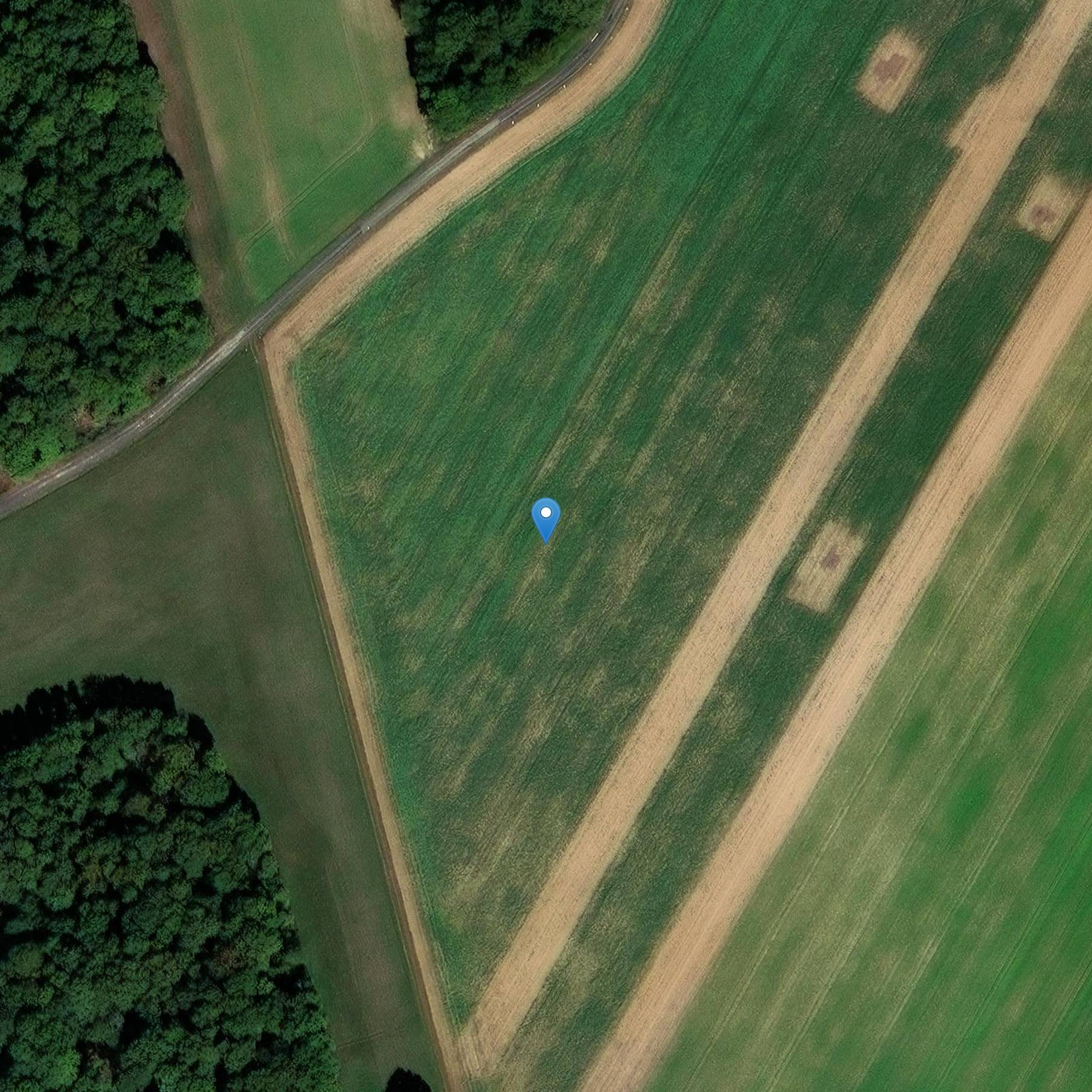 Photo de Goislardières木材怀孕,并被称作 