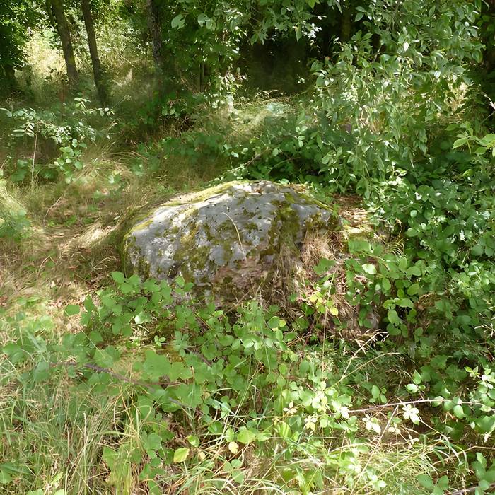 Photo de Polissoir des Griffes du Diable