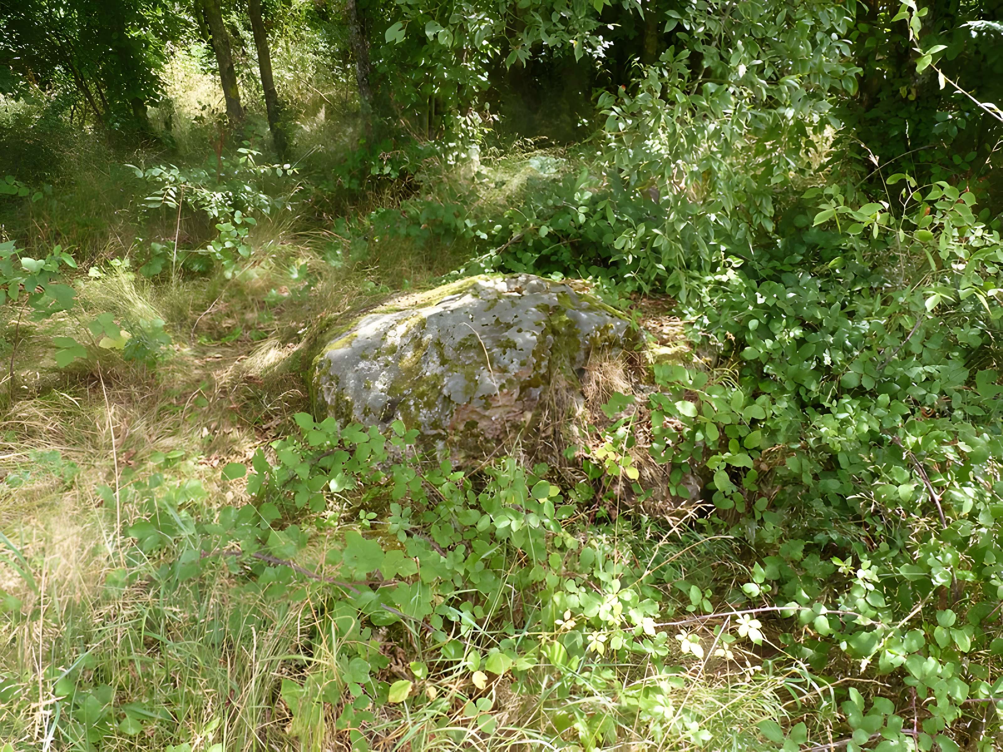 Polissoir des Griffes du Diable