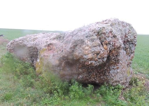 Photo de 脑后多尔门