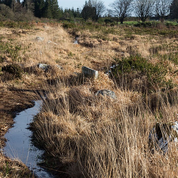 Photo de Alignements dAn Eured Veign