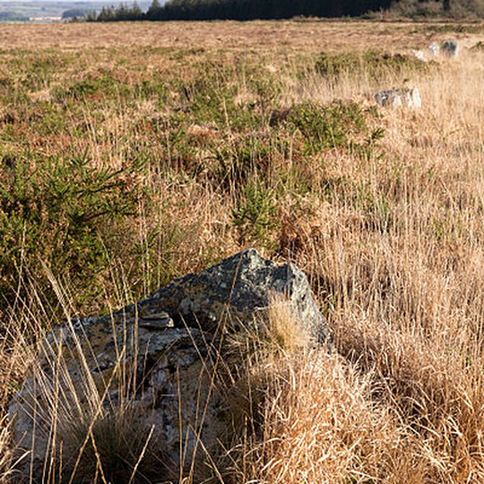 Photo de Alignements dAn Eured Veign