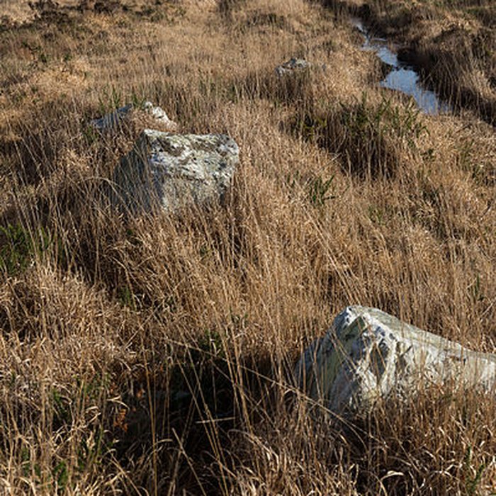 Photo de Alignements dAn Eured Veign