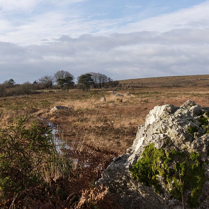 Photo de Alignements dAn Eured Veign