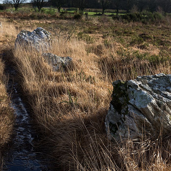 Photo de Alignements dAn Eured Veign