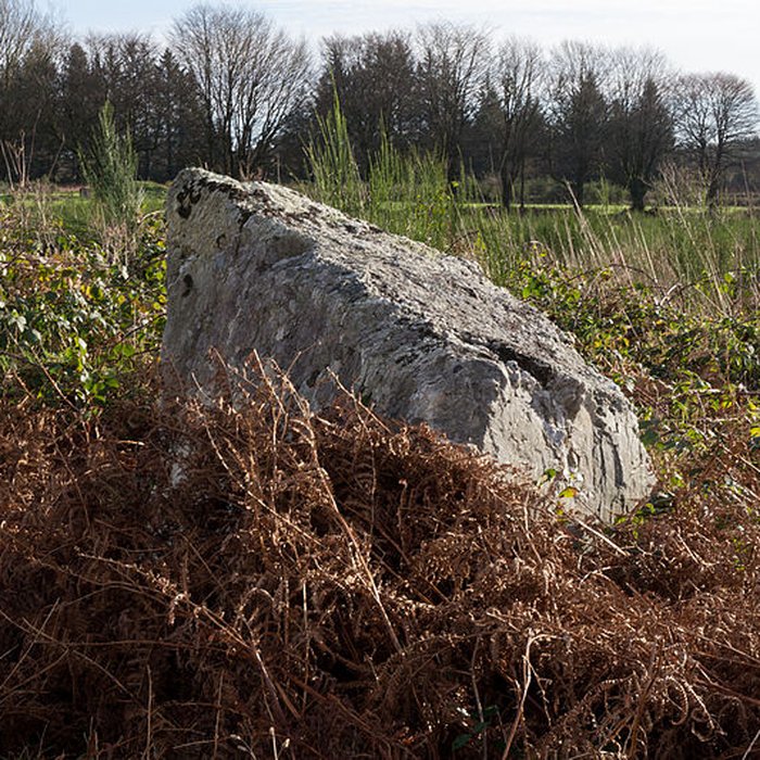 Photo de Alignements dAn Eured Veign