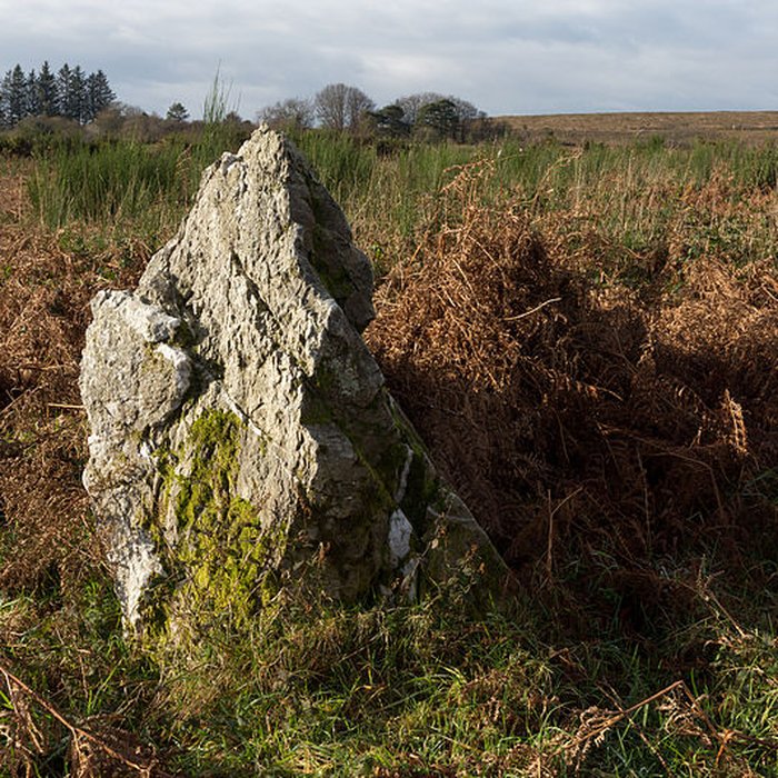 Photo de Alignements dAn Eured Veign