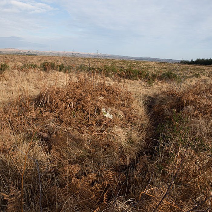 Photo de Alignements dAn Eured Veign