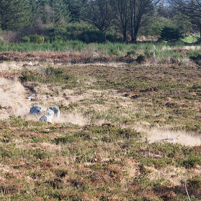 Photo de Alignements dAn Eured Veign