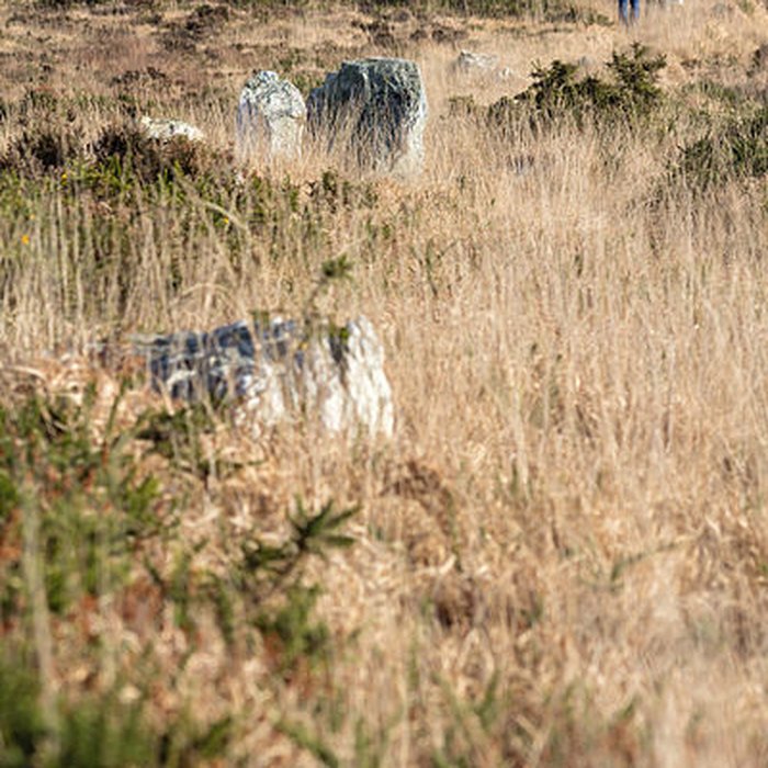 Photo de Alignements dAn Eured Veign