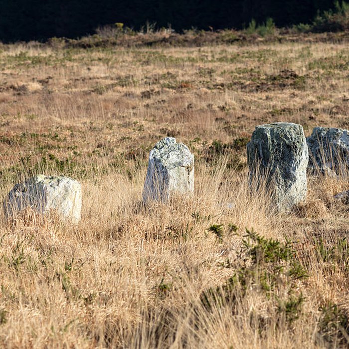 Photo de Alignements dAn Eured Veign