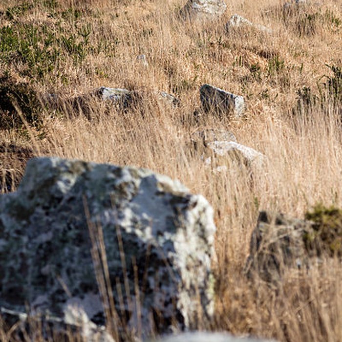 Photo de Alignements dAn Eured Veign