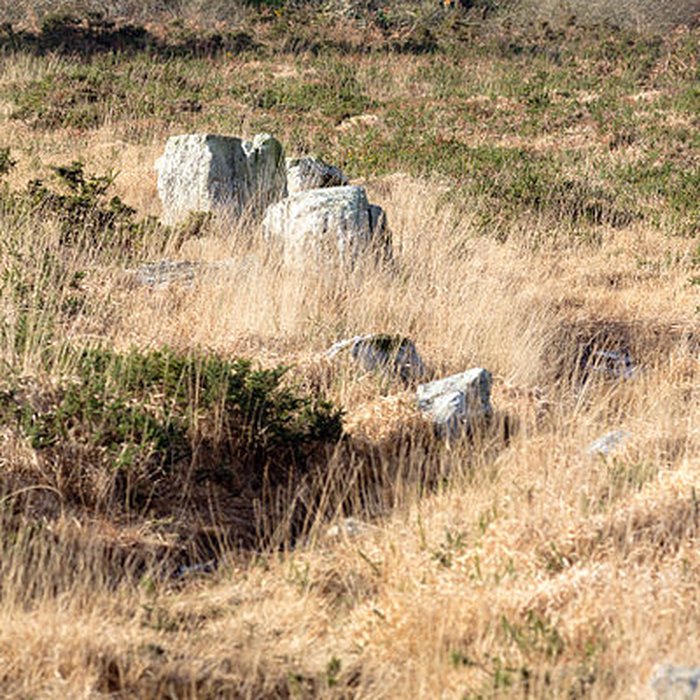 Photo de Alignements dAn Eured Veign