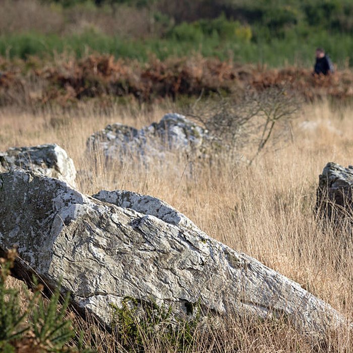 Photo de Alignements dAn Eured Veign