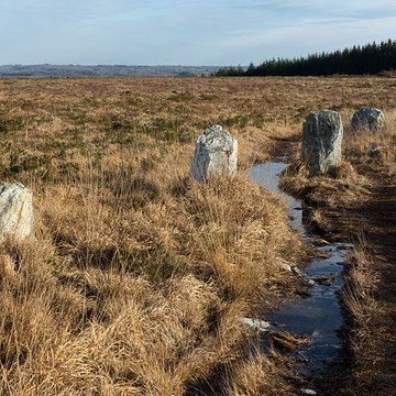 Alignements dAn Eured Veign