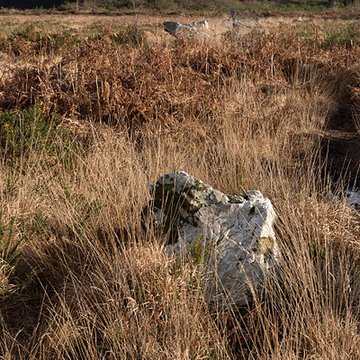 Alignements dAn Eured Veign