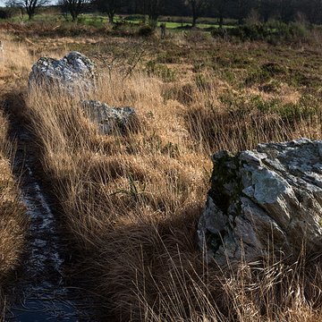 Alignements dAn Eured Veign