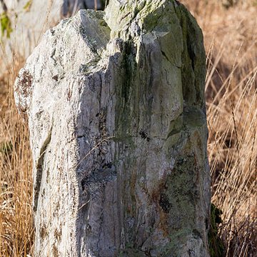 Alignements dAn Eured Veign