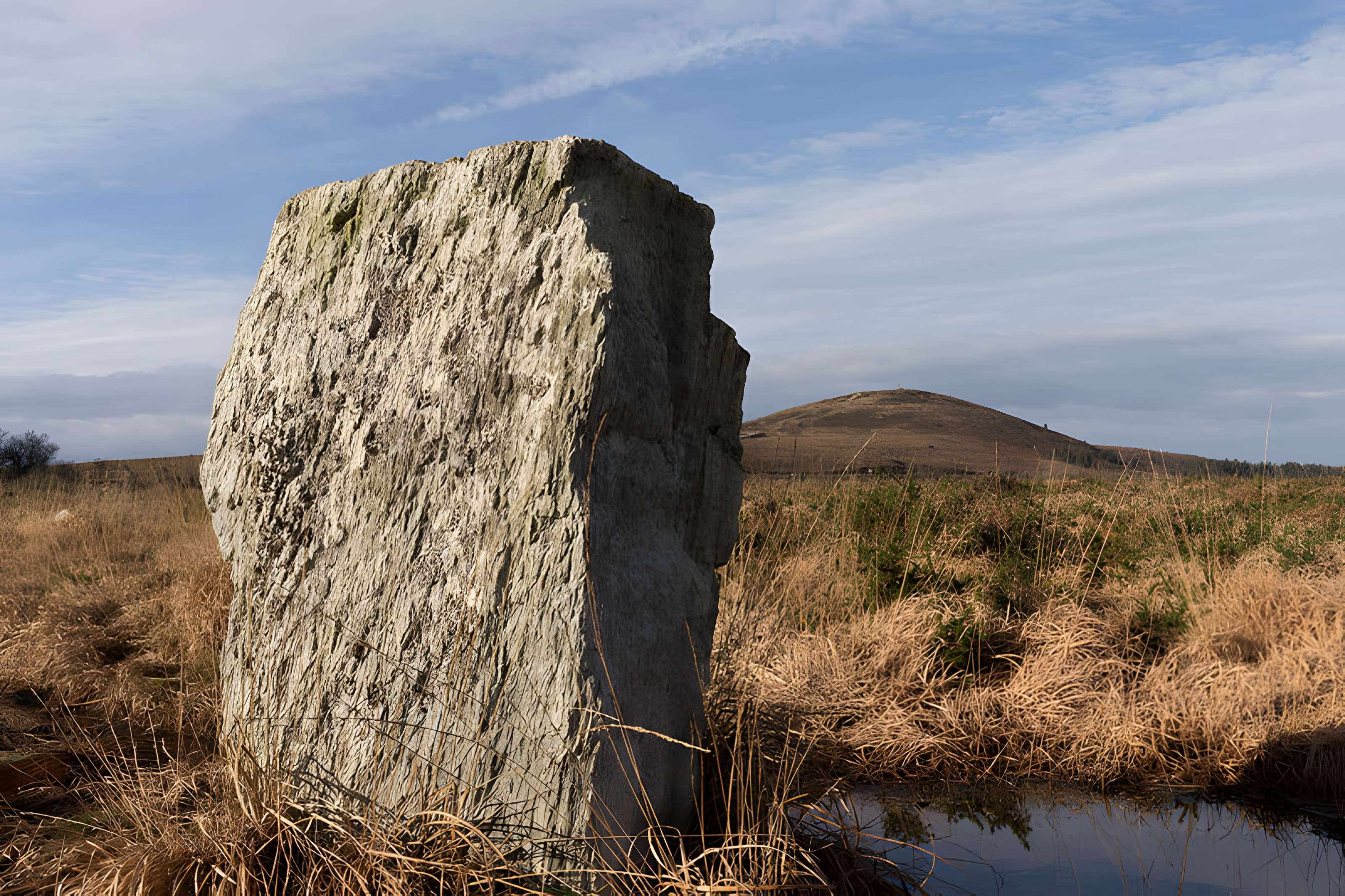 Alignements d'An Eured Veign