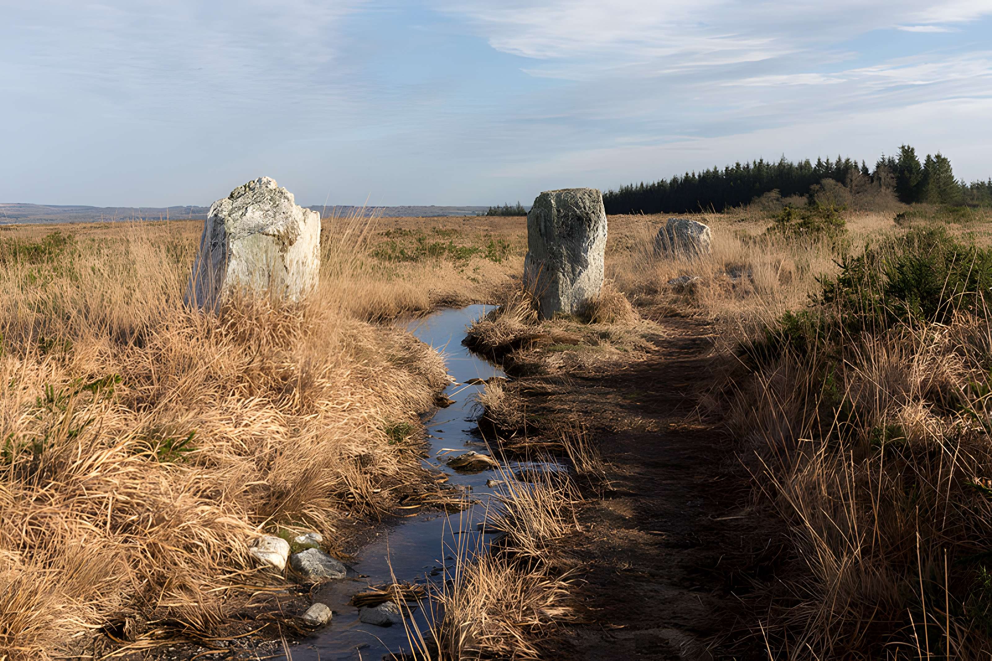 Alignements d'An Eured Veign