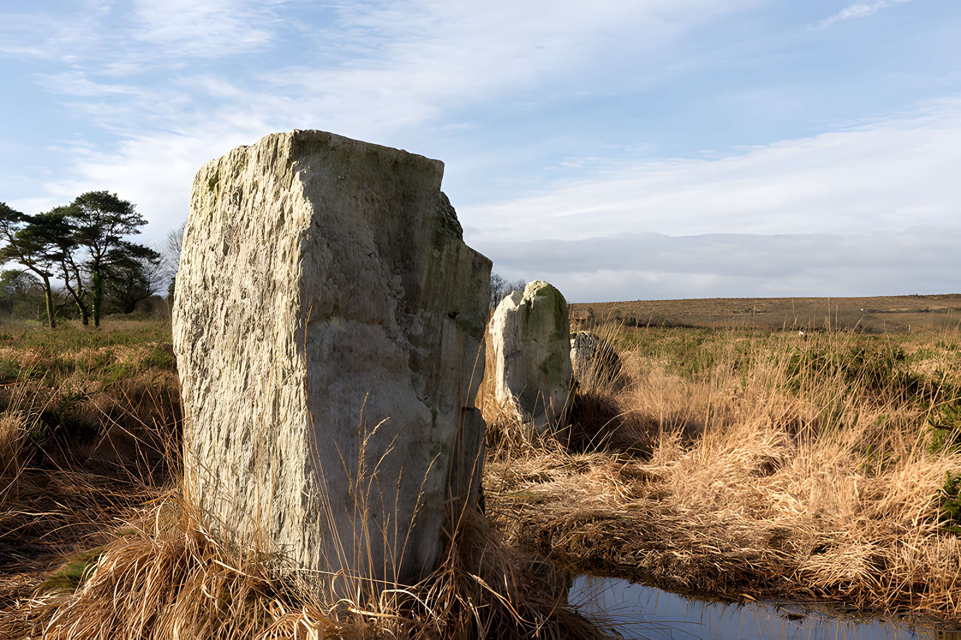 Alignements d'An Eured Veign