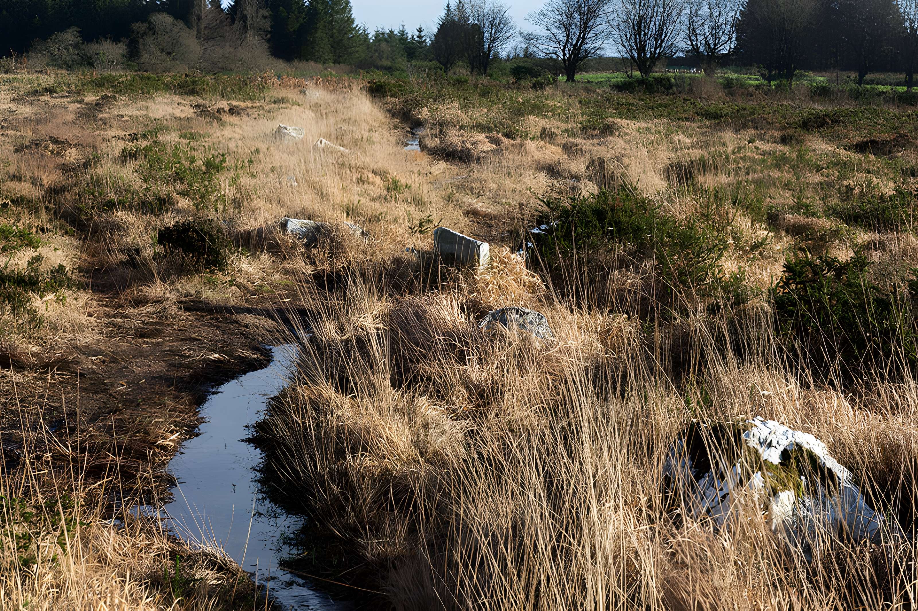 Alignements d'An Eured Veign