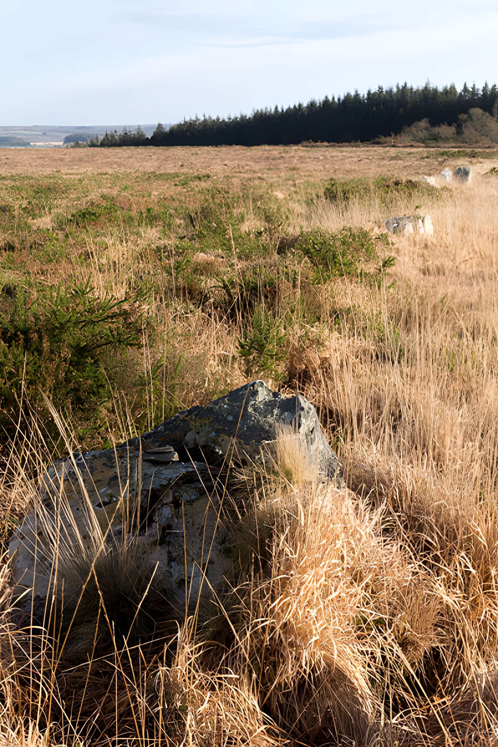 Alignements d'An Eured Veign