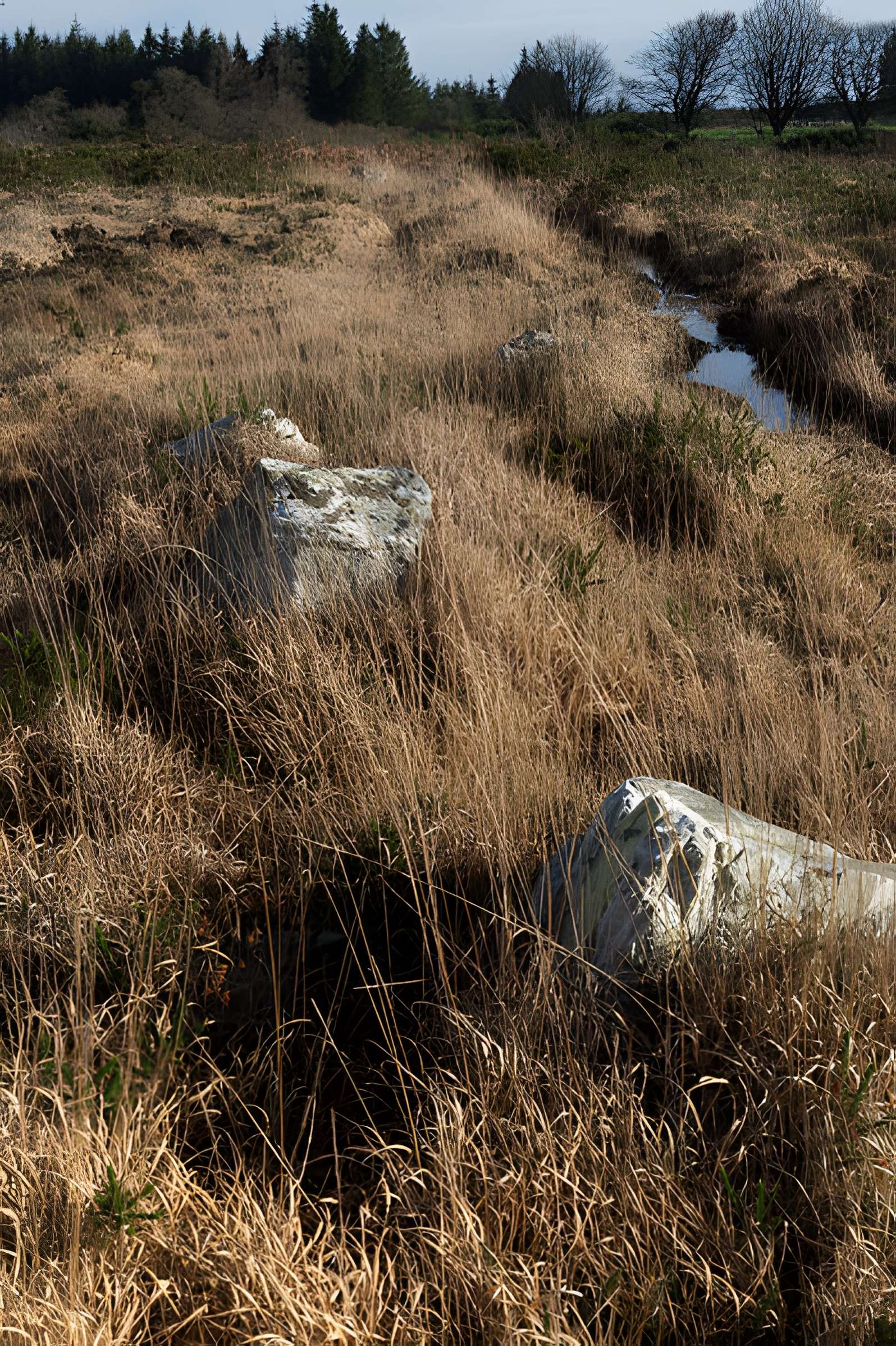 Alignements d'An Eured Veign
