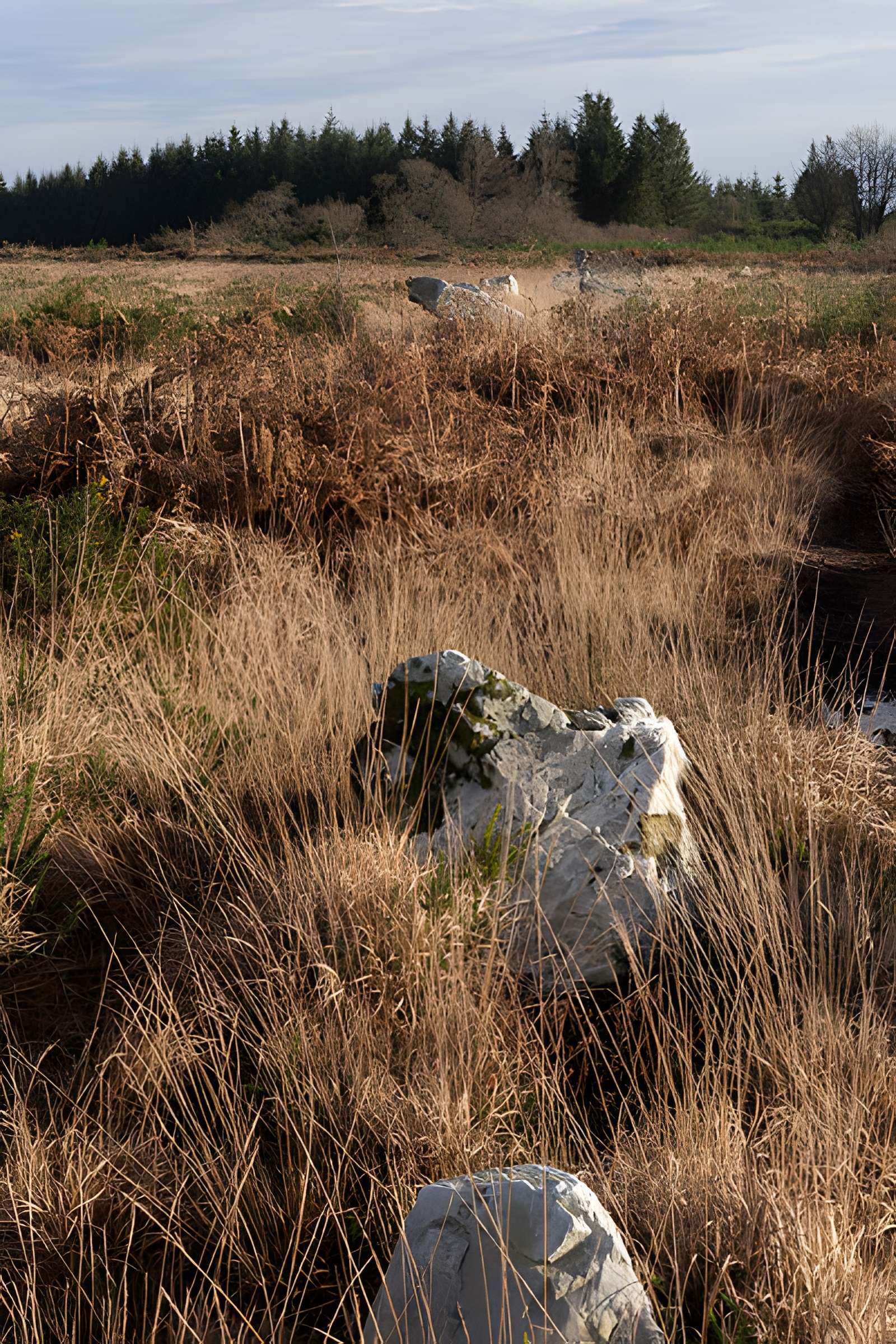 Alignements d'An Eured Veign